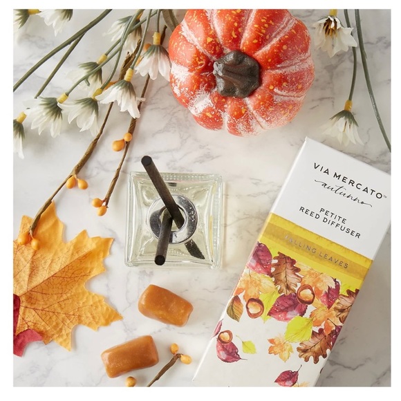 Petite Reed Diffuser - Picture 4 of 4